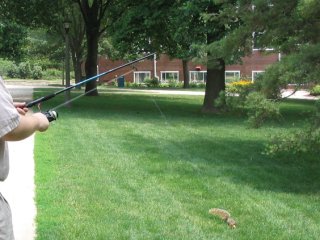 Squirrel Fishing